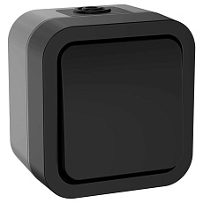 TORS Выключатель кнопочный 10А IP55 TS110 графит IEK TS-V14-0-10-55-K53