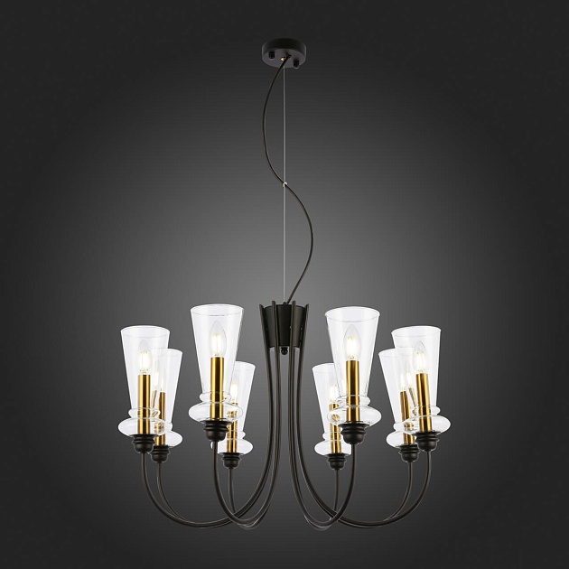 Подвесная люстра Evoluce Rammo SLE112403-08 Фото № 3