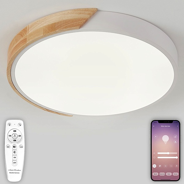 Потолочная люстра Natali Kovaltseva SCANDINAVIAN LED LAMPS 81181 Фото № 1