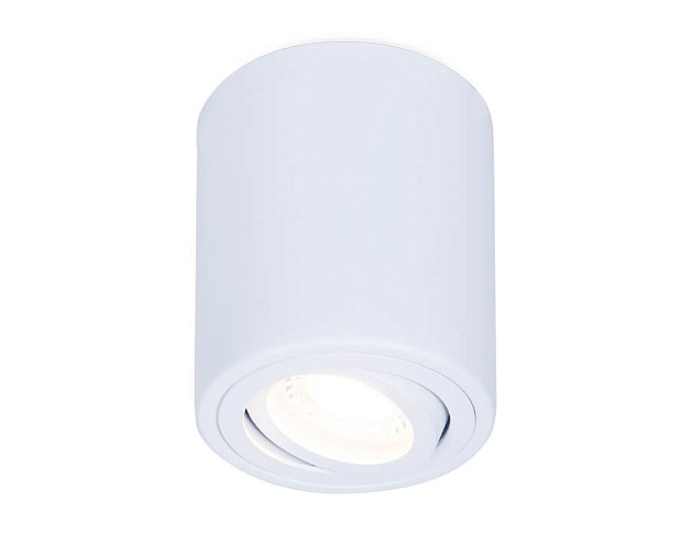 Потолочный светильник Ambrella light Techno Spot TN225 Фото № 1