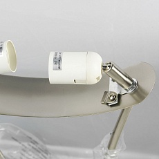 Торшер Lussole Lgo Tallapoosa LSP-0609 5