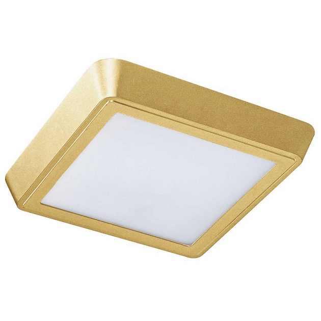 Потолочный светодиодный светильник Lightstar Urbano 216832 Фото № 1