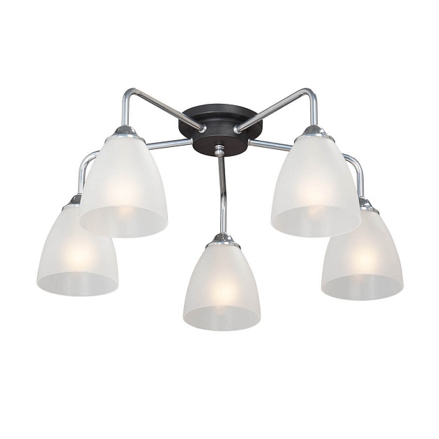 Потолочная люстра Vitaluce V4500-9/5PL изображение 1 Потолочная люстра Vitaluce V4500-9/5PL Фото № 1