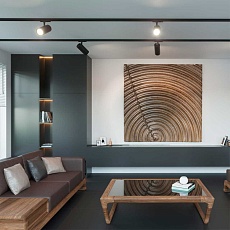 Трековый светильник однофазный трехжильный Novotech SELENE 359154 1