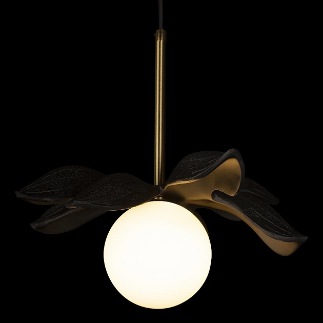 Подвесной светильник Loft IT Monro 10213/A Black Фото № 4