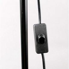 Торшер Camelion KD-332 C02 12794 2