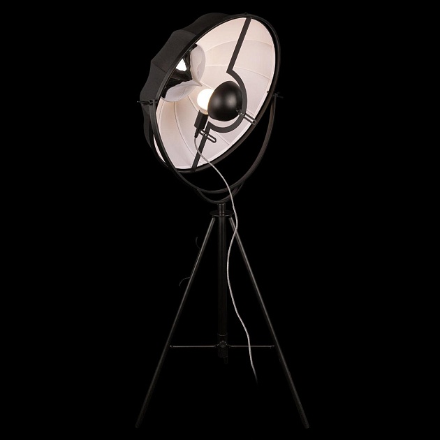 Торшер Loft IT Studio 10301/M Фото № 4