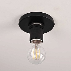 Потолочный светильник Imperium Loft RH Utilitaire Socket Flushmount 123676-22 1