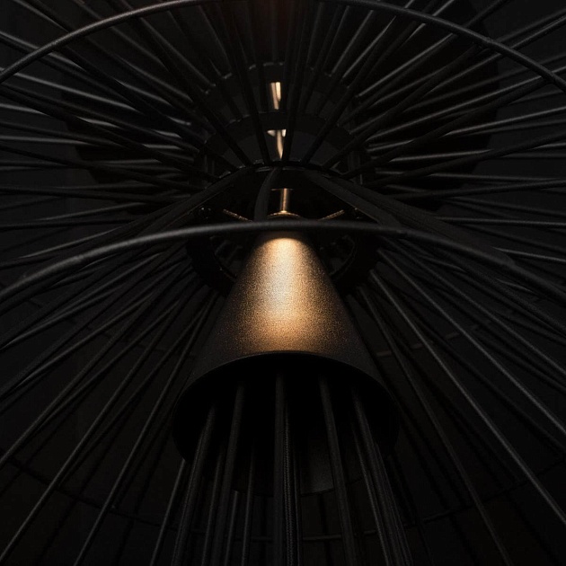 Подвесной светильник Loft IT Star 10141/600 Black Фото № 2