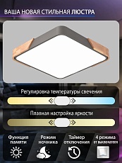 Потолочный светодиодный светильник Natali Kovaltseva LED LAMPS 81412 1