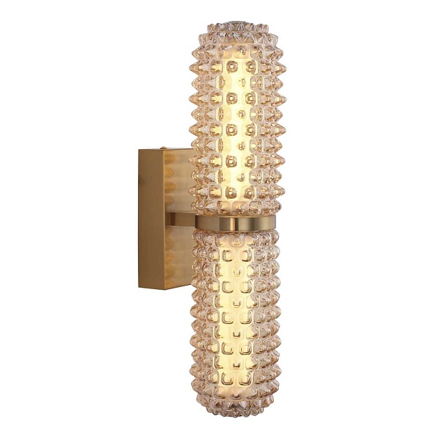 Настенный светильник ST Luce SAGUARO SL6144.301.01 Фото № 1