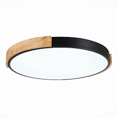 Потолочный сетодиодный светильник Evoluce Delia SLE201342-01 2