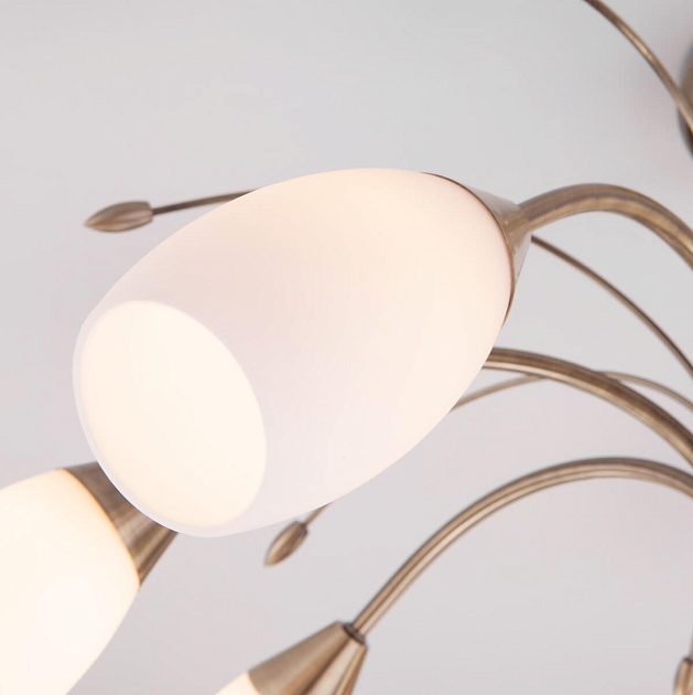 Потолочная люстра Eurosvet 30280/8 античная бронза Фото № 5