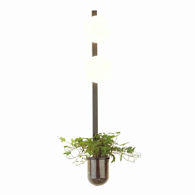 Настенный светильник Odeon Light Walli Flower 4681/2WA Фото № 2