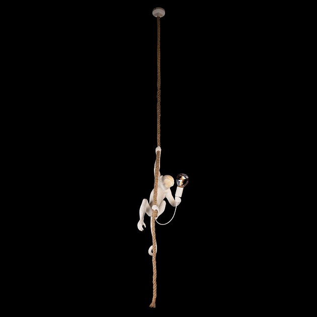 Подвесной светильник Loft IT Monkey 10314P Фото № 4