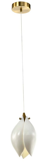 Подвесной светильник Zortes DALIN ZRS.90609.01 Фото № 6