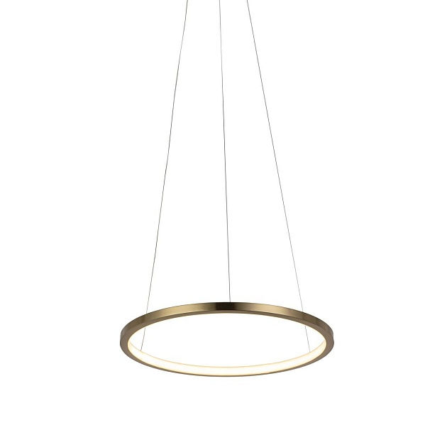 Подвесной светодиодный светильник Loft IT Ring 10014S Фото № 2