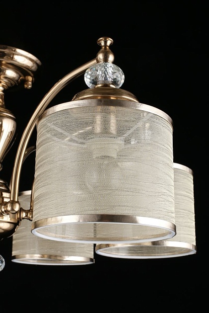 Потолочная люстра Aployt Agata APL.720.07.06 Фото № 4