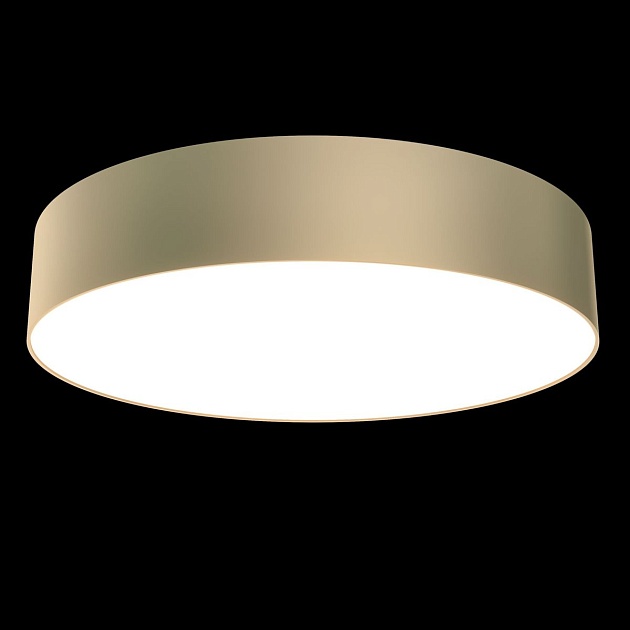 Потолочный светодиодный светильник Maytoni Technical Zon C032CL-L43MG3K Фото № 3