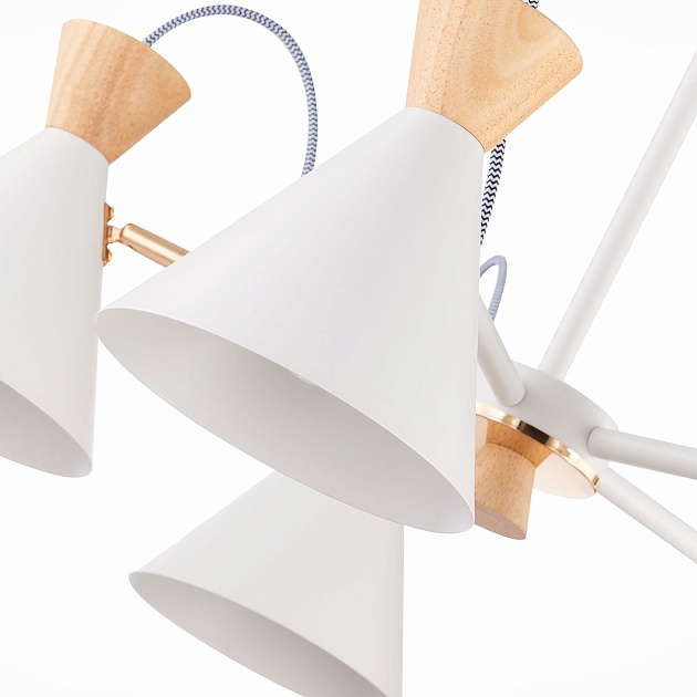 Потолочная люстра Evoluce Modica SLE125102-05 Фото № 2