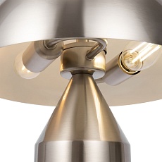 Настольная лампа Freya Eleon FR5218TL-02N 3
