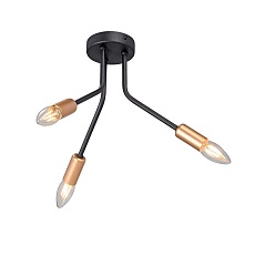 Потолочная люстра Vitaluce V3020-1/3PL 1