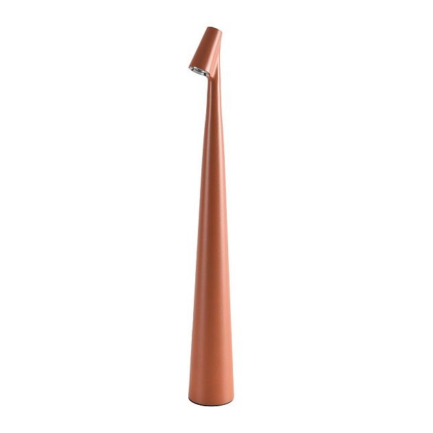 Настольная лампа Arte Lamp Fusion A3283LT-2BR Фото № 1