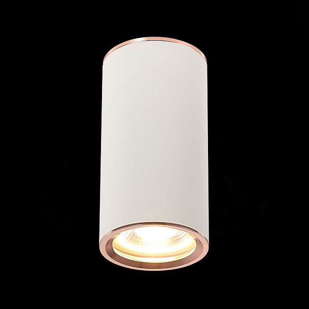 Потолочный светильник ST Luce Chomus ST111.527.01 Фото № 2