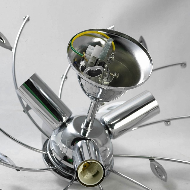 Потолочная люстра Lussole Lgo LSP-0185 Фото № 5