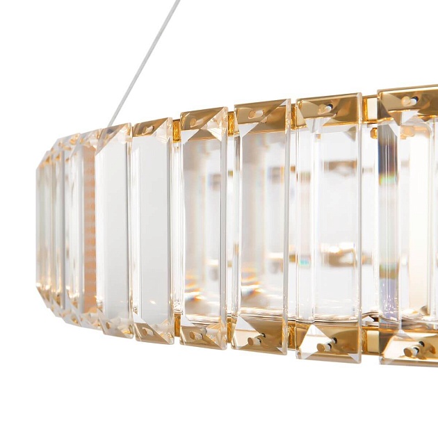 Подвесной светодиодный светильник Freya Tier FR5257PL-L25G Фото № 10