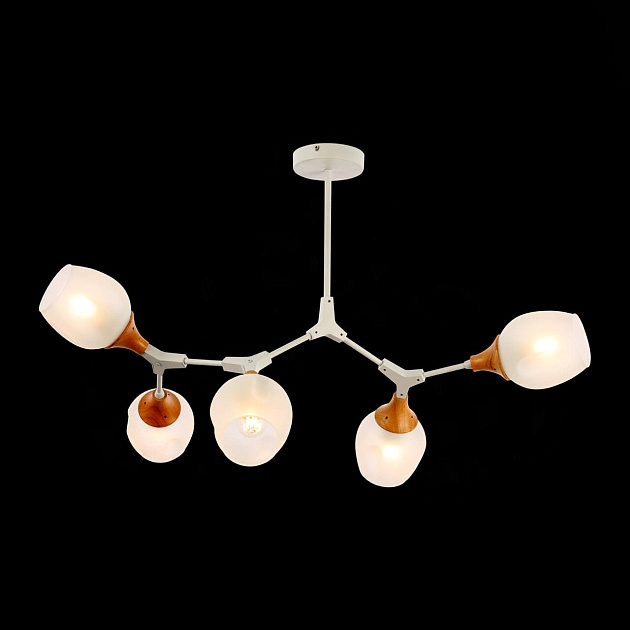 Потолочная люстра Evoluce Ciotolla SLE113502-05 Фото № 5