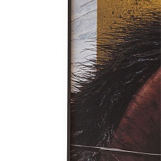 Картина Lumina Deco FP Horse 50-70 2