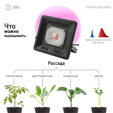 Прожектор светодиодный ЭРА 50W 1370K Fito-50W-Led Б0039033 3