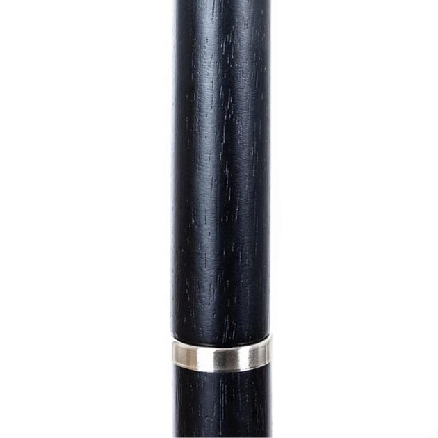 Торшер Arte Lamp Robert A5029PN-1SS Фото № 3