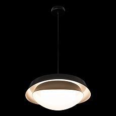 Подвесная люстра Loft IT Petale 10256P Black 5