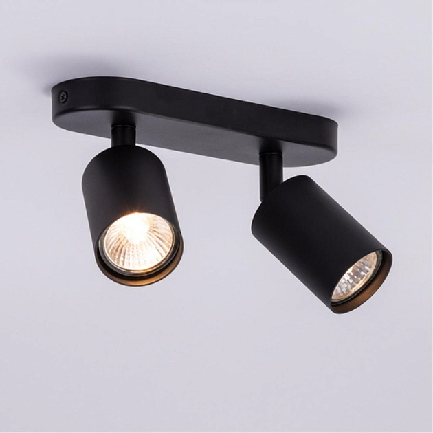 Спот Arte Lamp Aquarius A3226PL-2BK Фото № 2