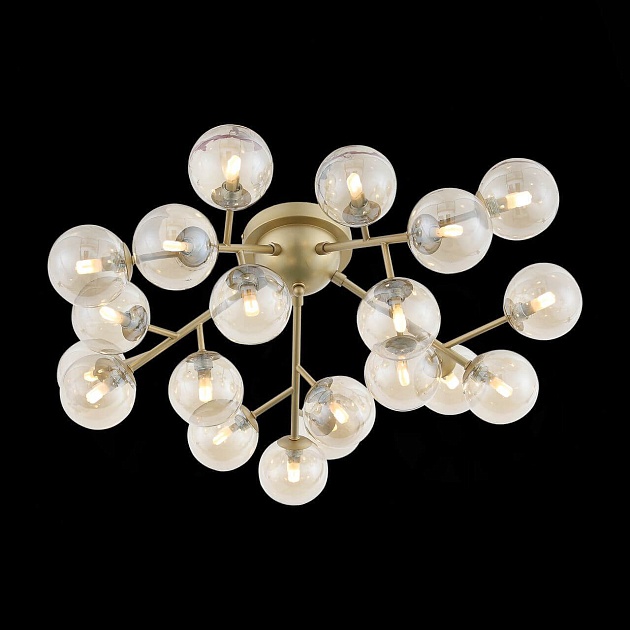 Потолочная люстра ST Luce Pallеre SL438.202.20 Фото № 3