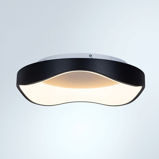 Потолочный светодиодный светильник Arte Lamp Ankaa A3085PL-48BK Фото № 4