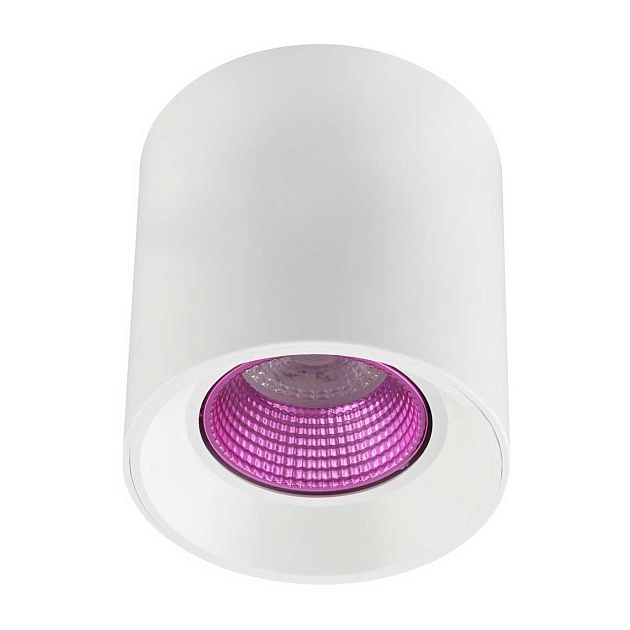 Потолочный светильник Denkirs DK3020WPI DK3090-WH+PI Фото № 1