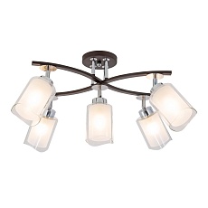 Спот Citilux Фортуна CL156152