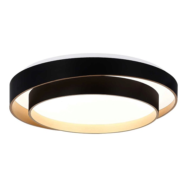 Потолочный светодиодный светильник Evoluce Crosby SLE6009-402-01 Фото № 1