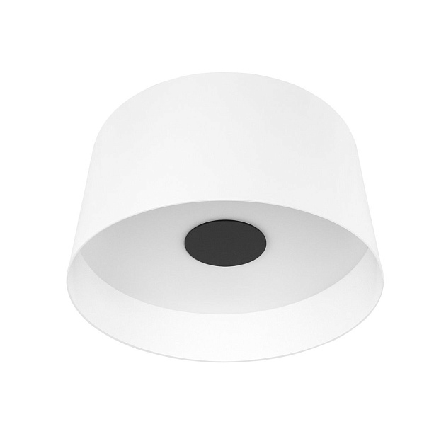 Потолочный светодиодный светильник Loft IT Duo 10360L White Фото № 1