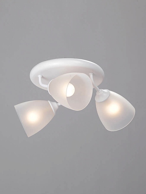 Потолочная люстра Vitaluce V4356-0/3PL изображение 3 Потолочная люстра Vitaluce V4356-0/3PL Фото № 3