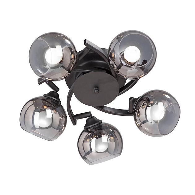 Спот Vitaluce V4307-1/5PL изображение 1 Спот Vitaluce V4307-1/5PL Фото № 1