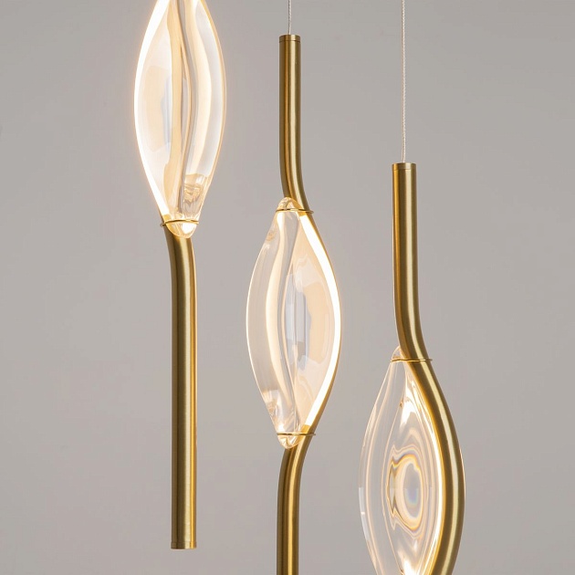 Подвесная светодиодная люстра Maytoni Foresight MOD347PL-L24BS3K Фото № 5