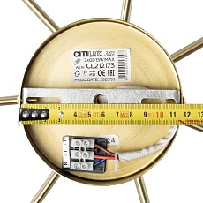 Люстра на штанге Citilux TONGA CL212173 2