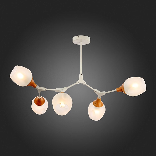 Потолочная люстра Evoluce Ciotolla SLE113502-05 Фото № 2