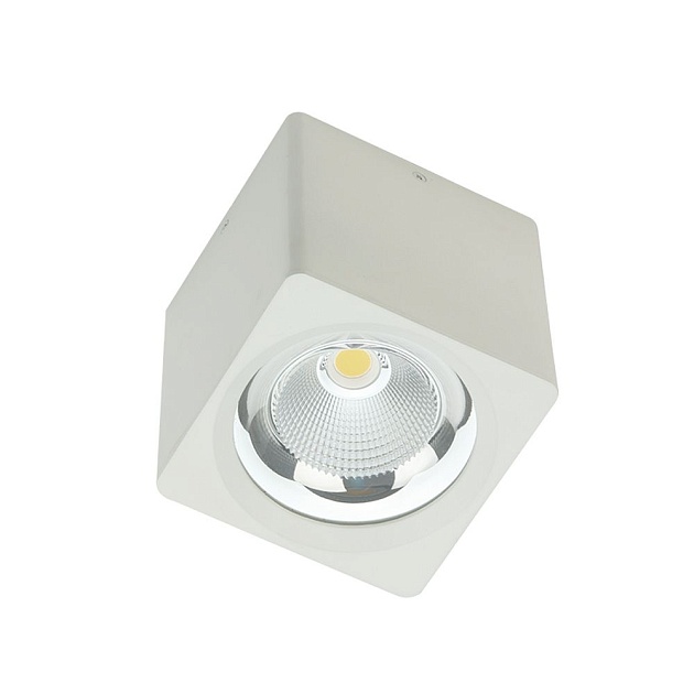 Потолочный светодиодный светильник Fiberli CH-SD220-1 12120101 изображение 9 Потолочный светодиодный светильник Fiberli CH-SD220-1 12120101 Фото № 9