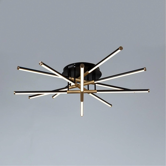 Потолочная светодиодная люстра Arte Lamp Fernando A2199PL-6BK Фото № 4