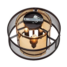 Потолочная люстра Lumion Moderni Zarina 8007/3C 4